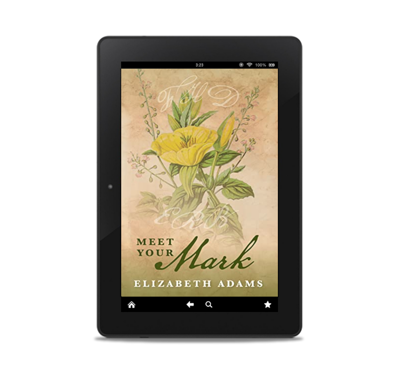 Meet Your Mark E-book