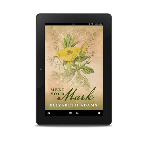 Meet Your Mark E-book