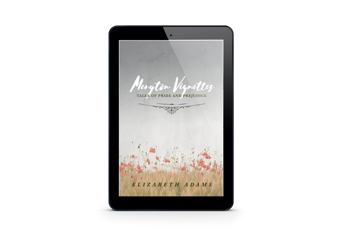 Meryton Vignettes: Tales of Pride and Prejudice E-book