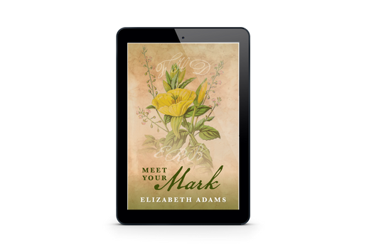 Meet Your Mark E-book