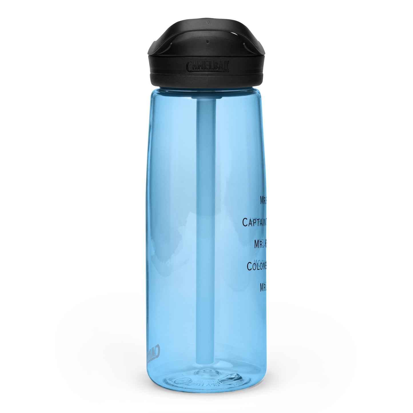 Sports water bottle