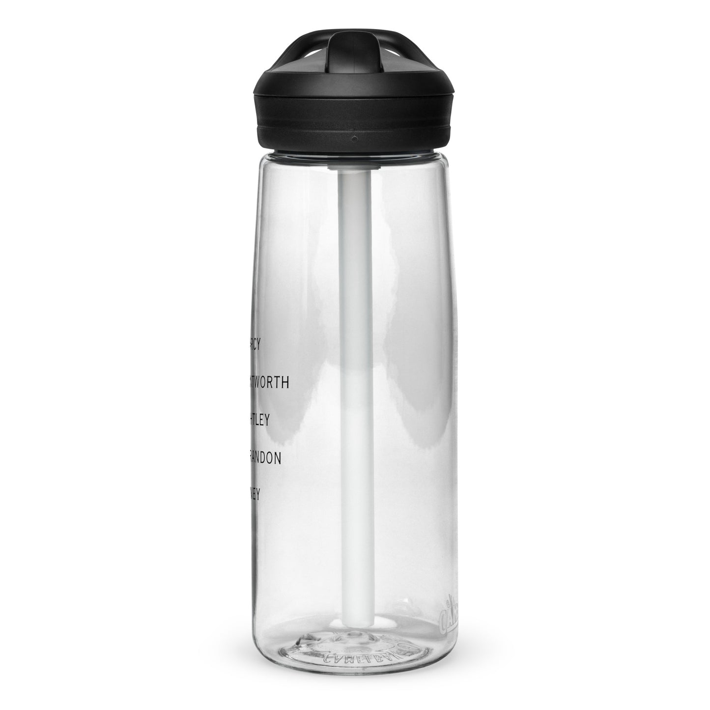 Sports water bottle