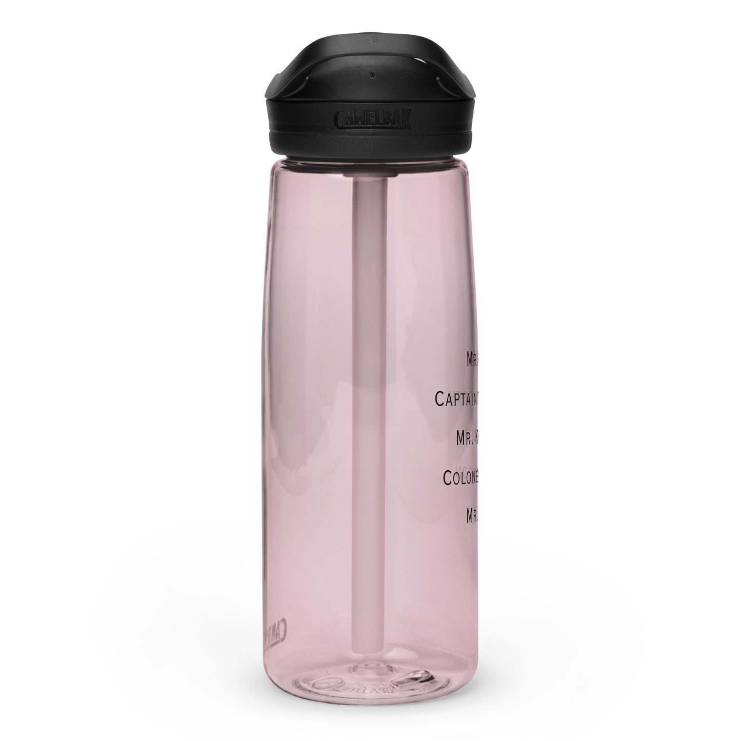 Sports water bottle