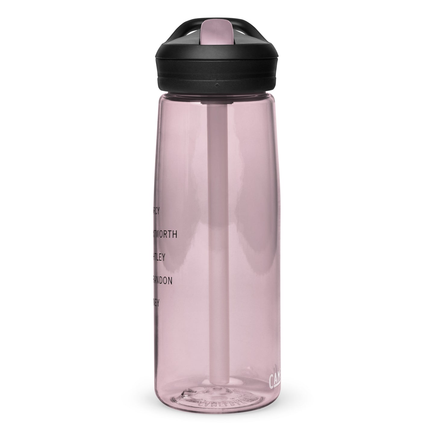 Sports water bottle